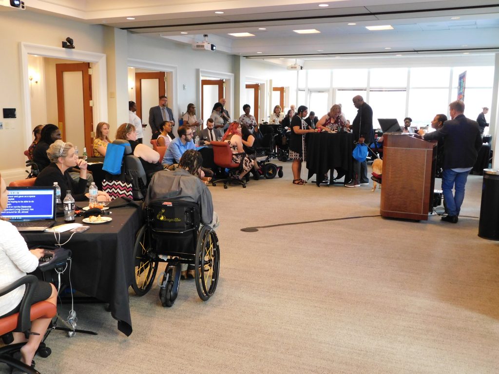 Statewide Independent Living Council of Georgia