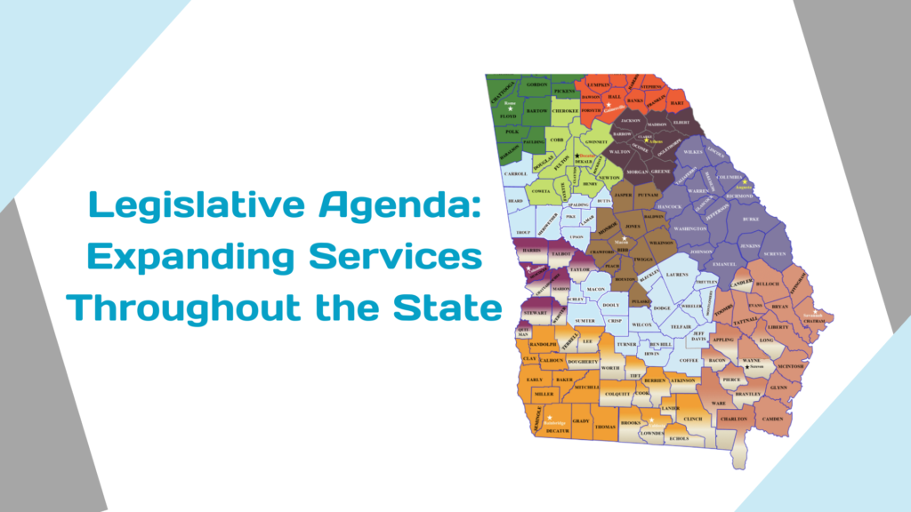 Statewide Independent Living Council of Georgia