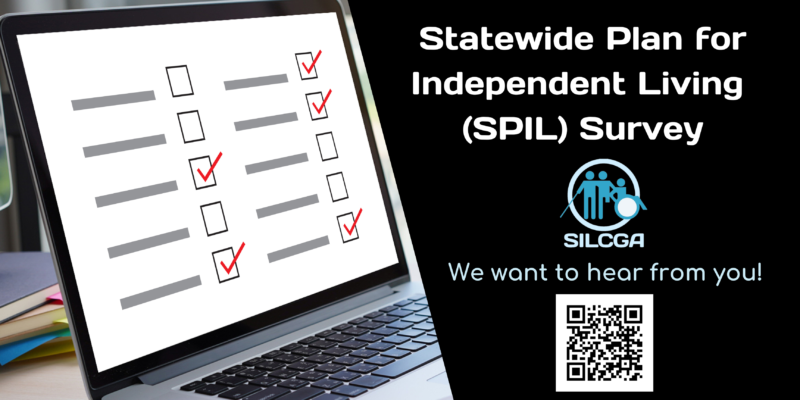 Statewide Plan For Independent Living Survey Statewide Independent Living Council Of Georgia 0255