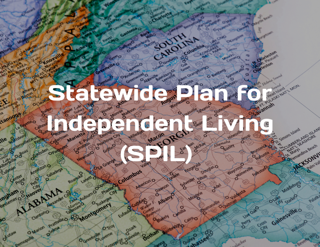 Statewide Independent Living Council of Georgia